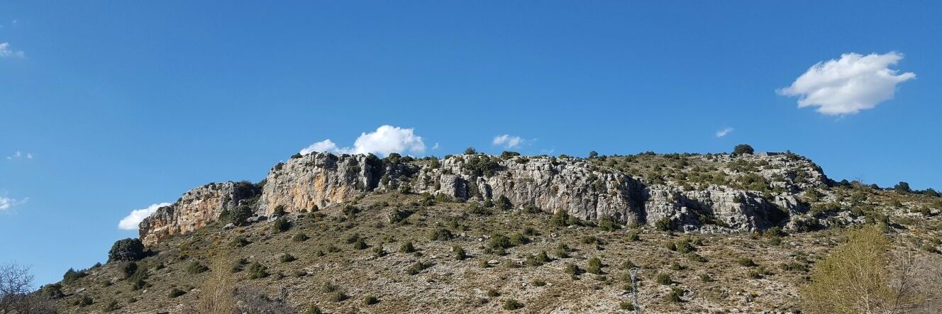 C A R M E N 💜 banner