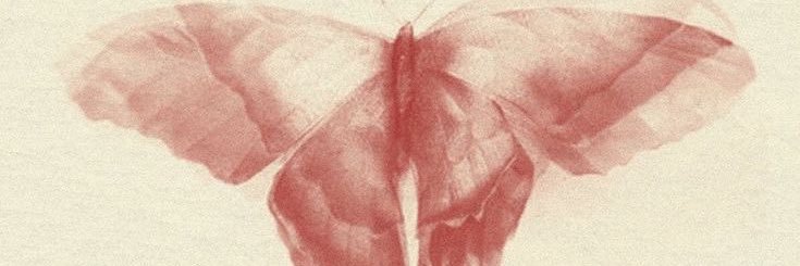 yla banner
