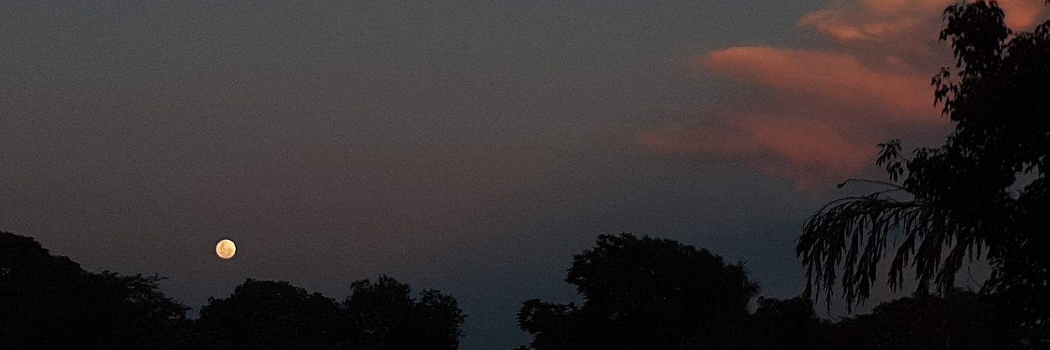 venuses08's profile banner image