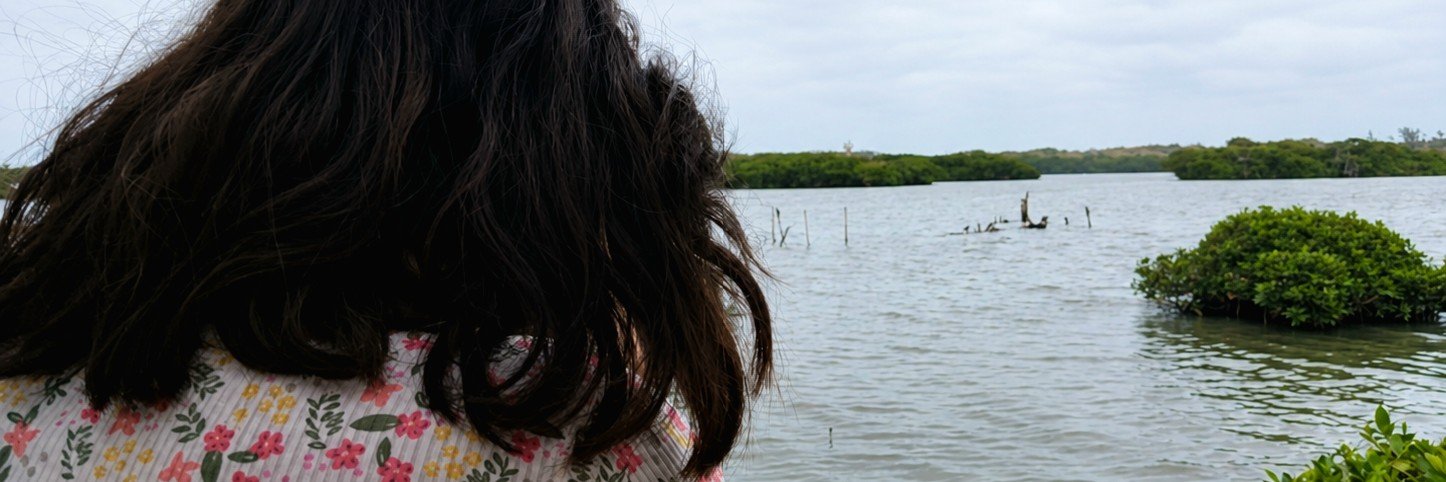 susanftee's profile banner image