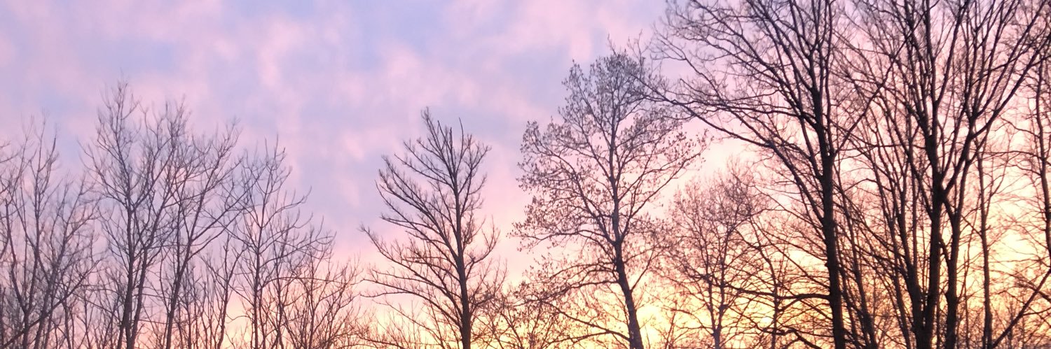 LSkaggs88's profile banner image