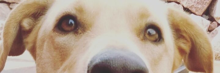 nic_andria's profile banner image