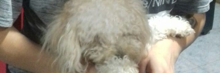 ManlioRivero14's profile banner image