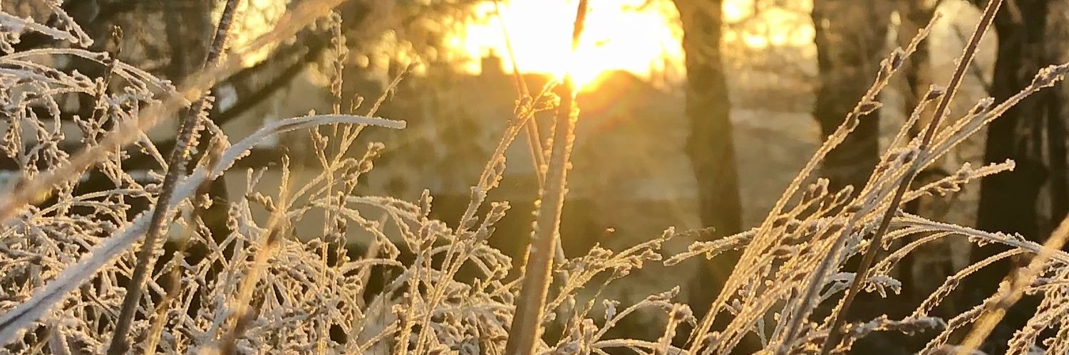  Ga•bel•la ohne Haken banner