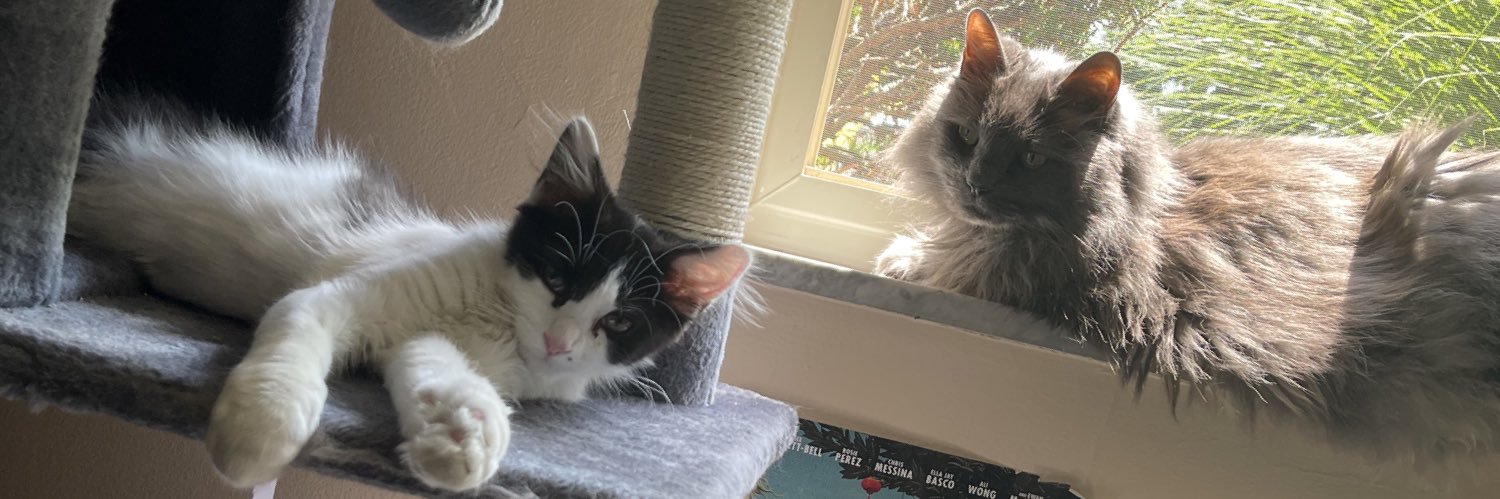 pepper & lugosi's banner