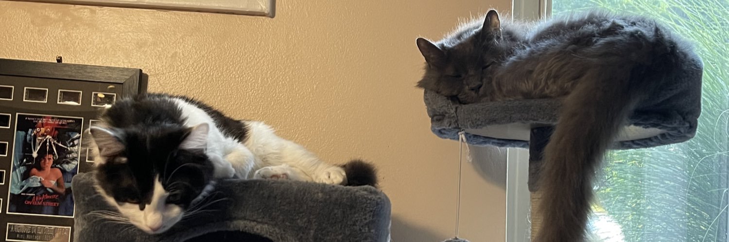 pepper 🌶️ & lugosi 🧛🏻‍♂️ banner