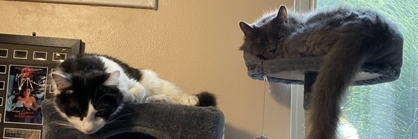 pepperbug Profile Banner