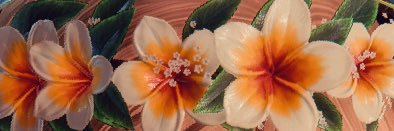 Holly Noel 🌸 banner