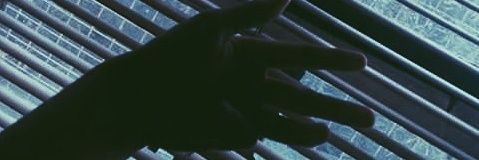 BtstNikki's profile banner image