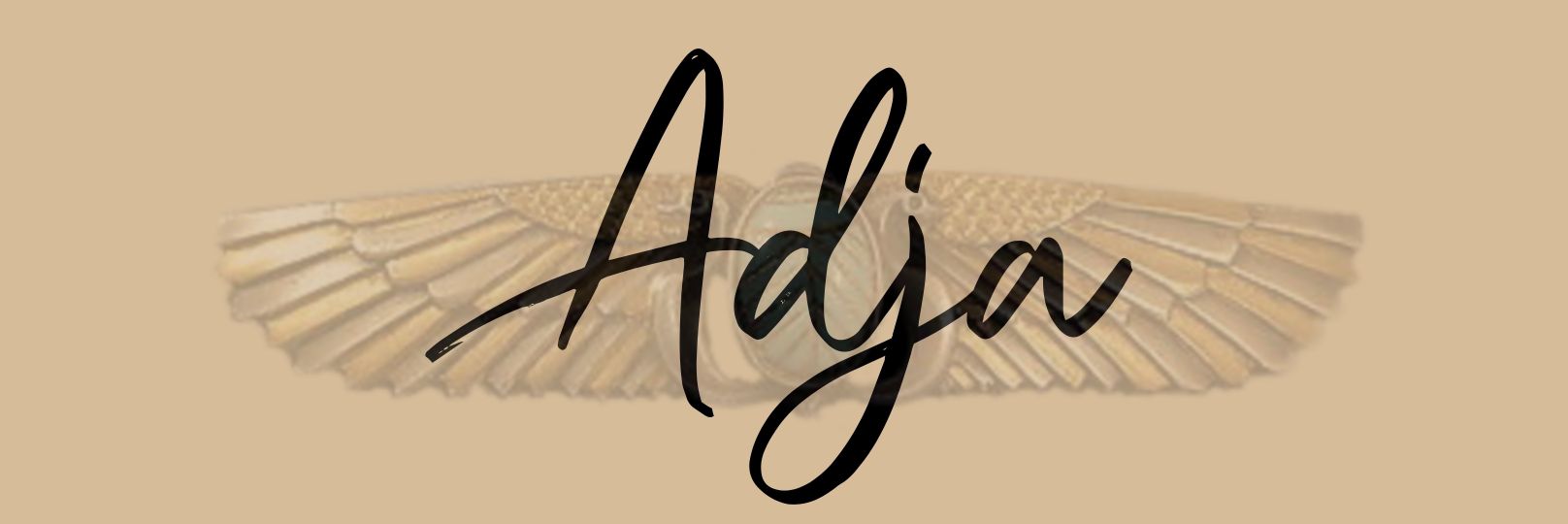 Adja_GNS's profile banner image