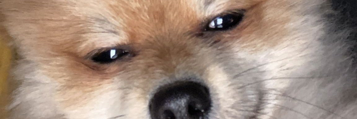 joel1na's profile banner image