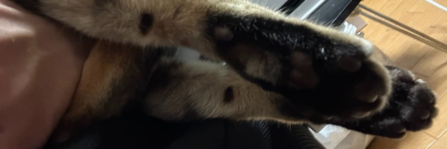 paroooonnn's profile banner image