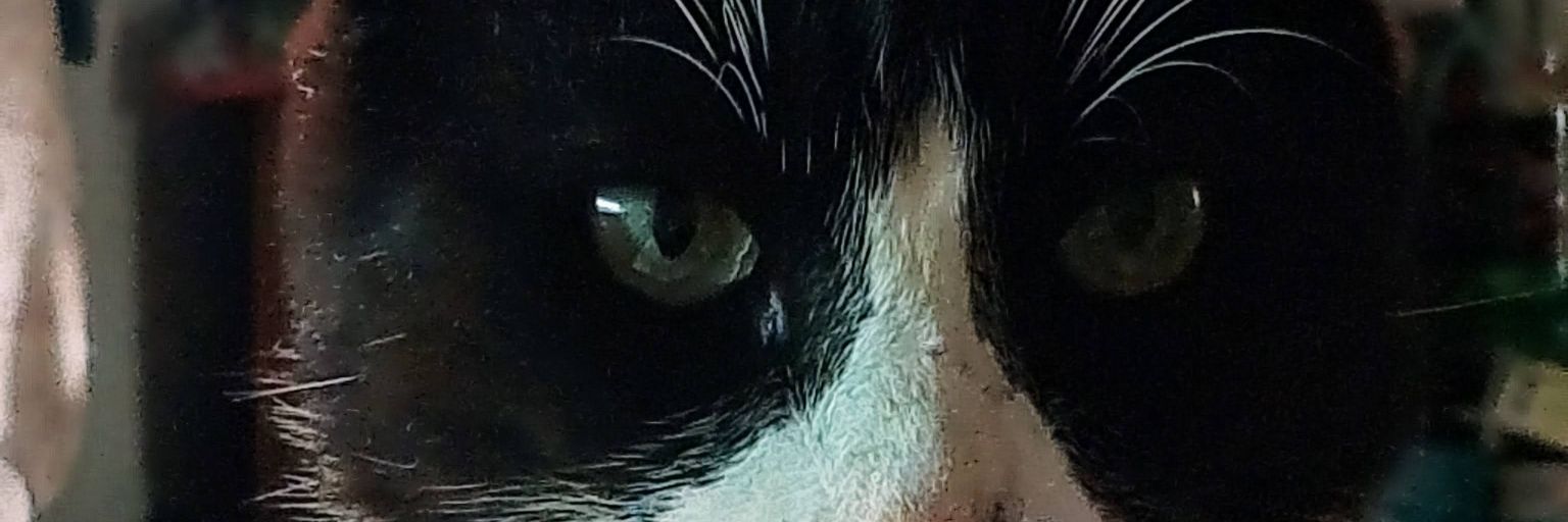 tovarj4's profile banner image