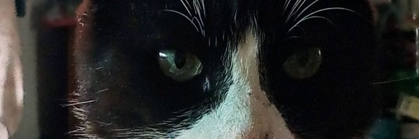 tovarj4 Profile Banner