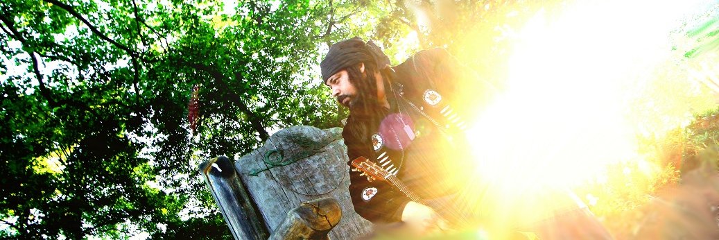 Troubleshaker Troubadour banner