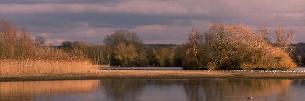 Little Marlow Lakes Country Park banner