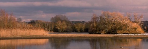 Little Marlow Lakes Country Park Profile Banner