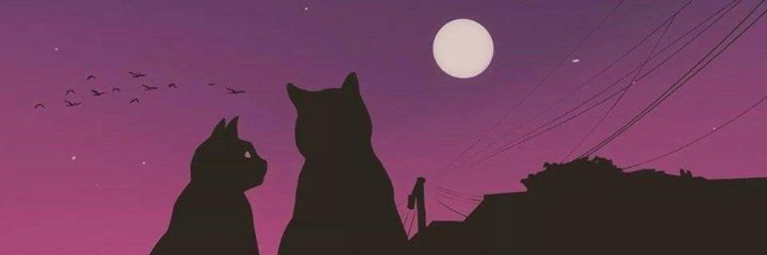 AHMED_SHMYN's profile banner image
