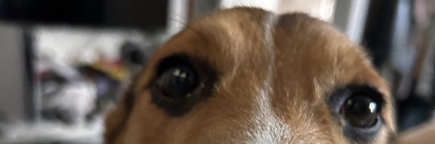 izabellahernan2's profile banner image