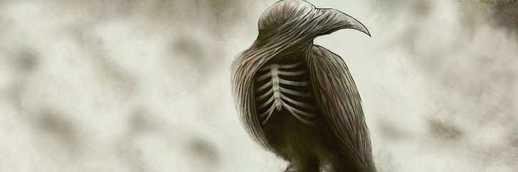 xRaykh's profile banner image