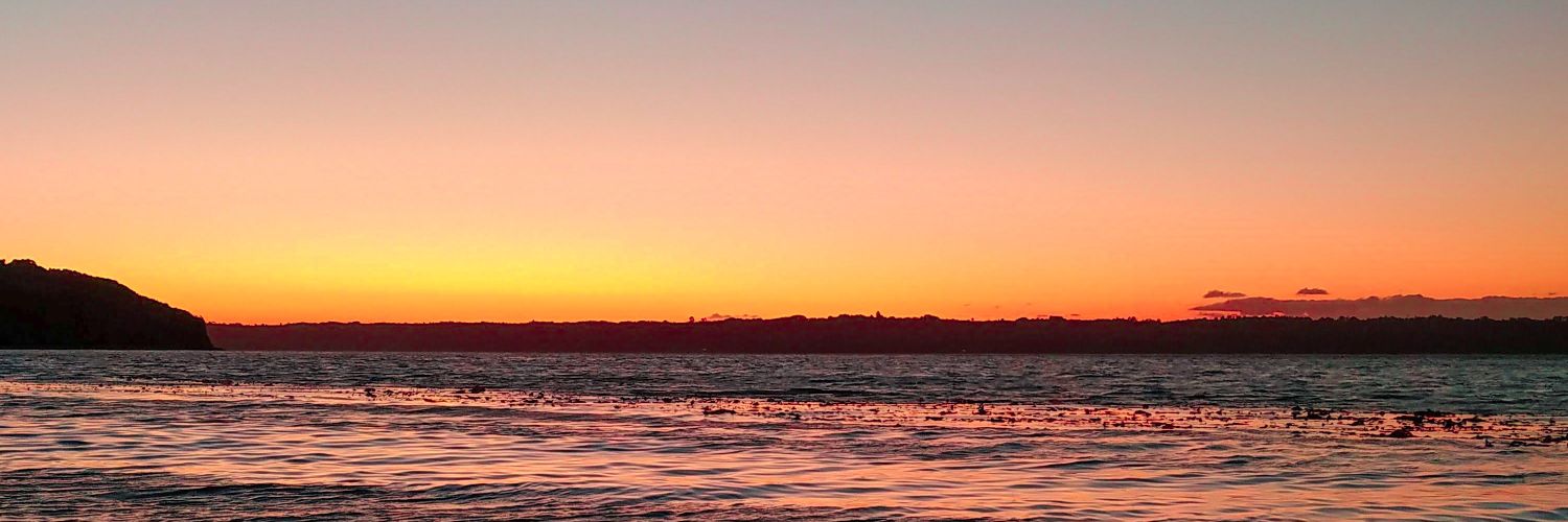nicoomf's profile banner image