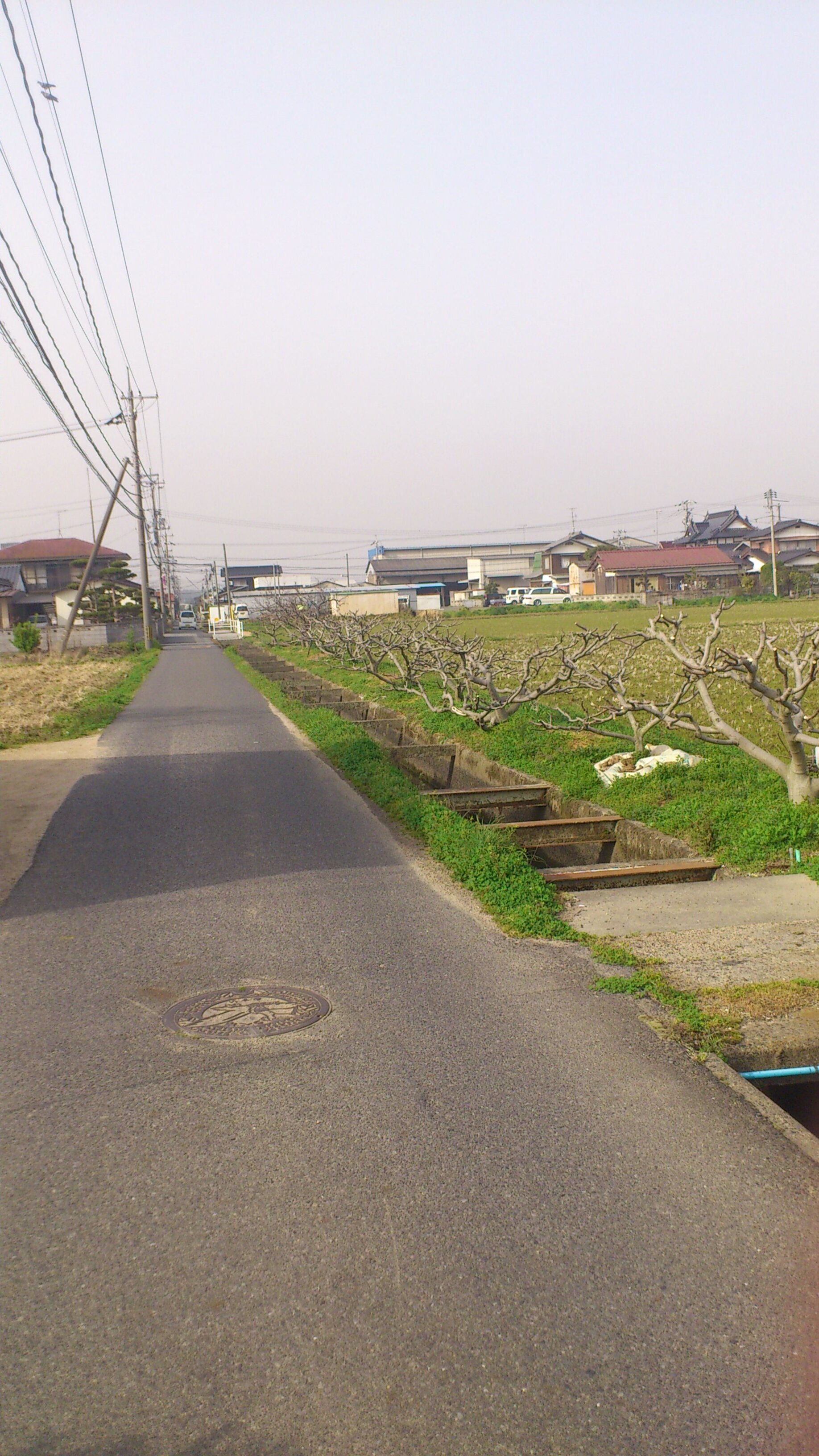 knowledge_deers's profile banner image