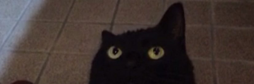 ma_seal17's profile banner image
