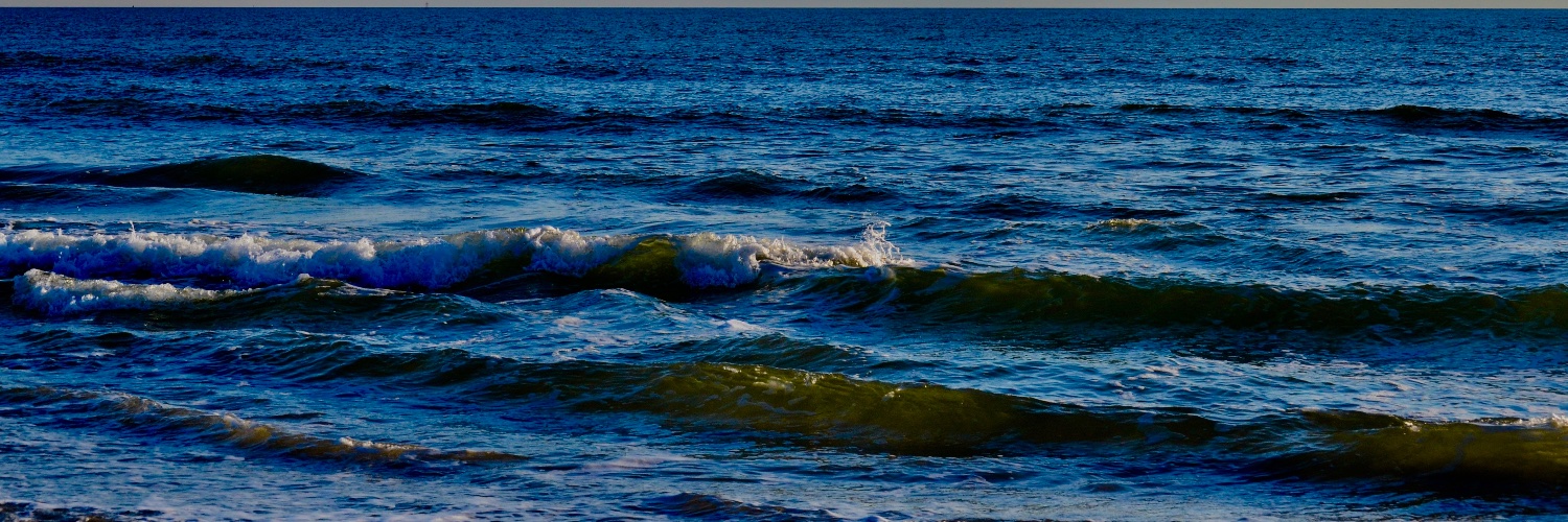 Harry Thomas - Actor, Author and Video Producer. banner