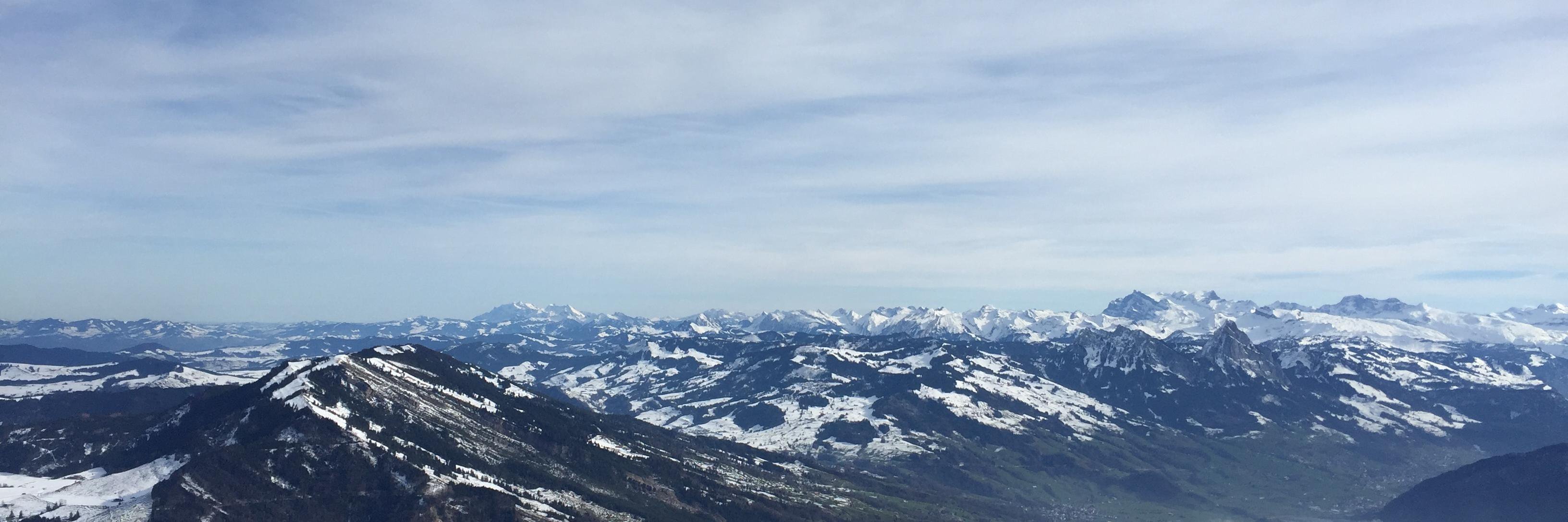 Veronica DeVore banner