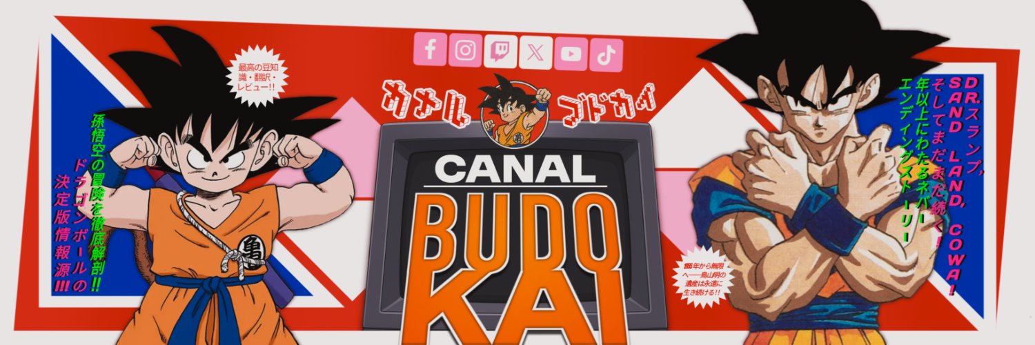 Canal Budokai's banner