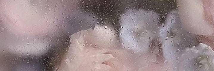 __genoge's profile banner image