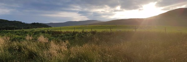 cryistina Profile Banner