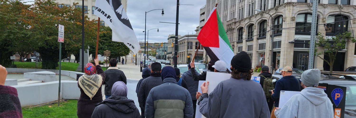 Northeast PA DSA 🇵🇸's banner