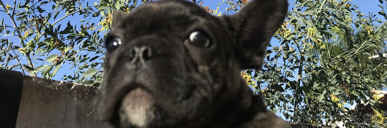 Gabireisb's profile banner image