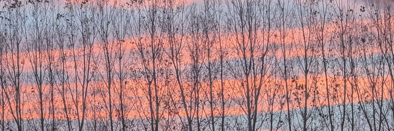 I Saw Vern ∞/21M banner