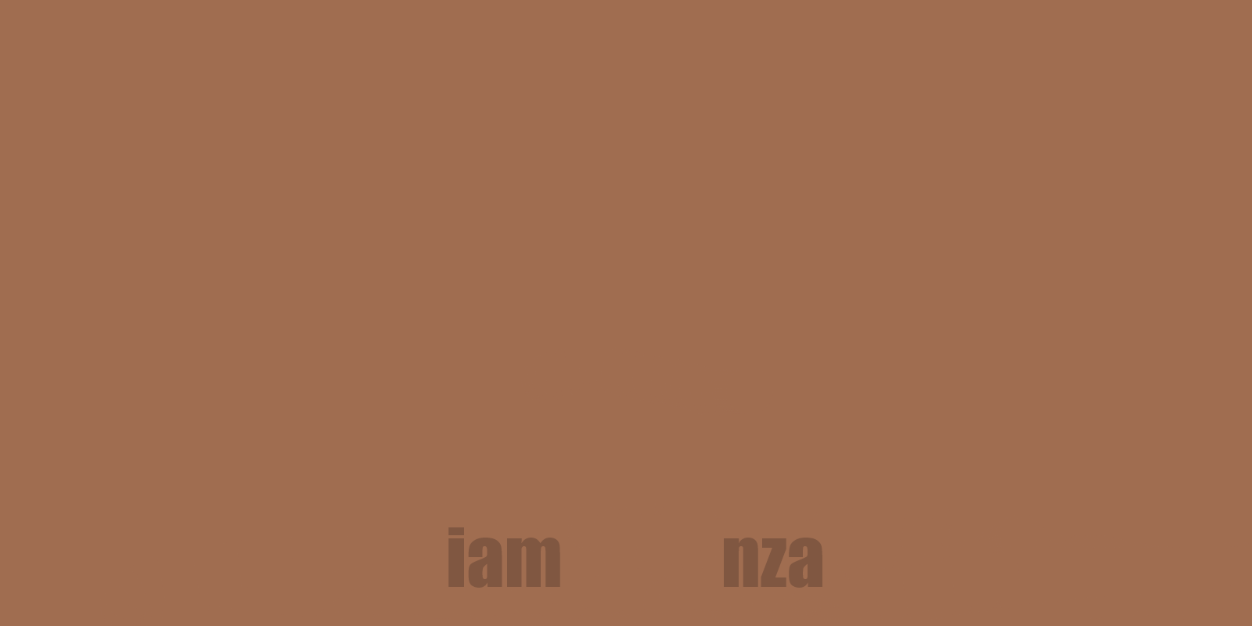 nza banner