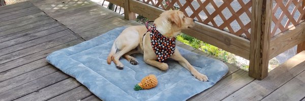 TwarogEmily Profile Banner