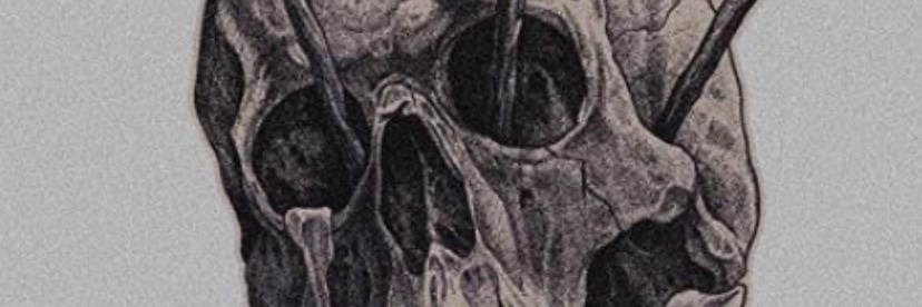 QuillxWulf's profile banner image