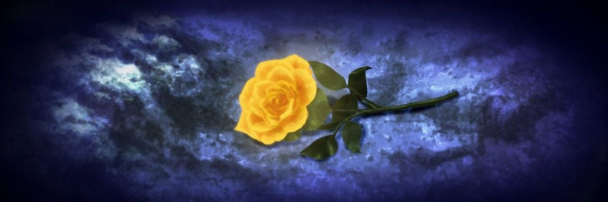 Sam's banner
