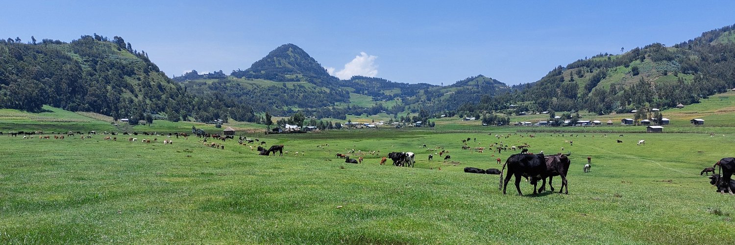 Ayalew Kassahun banner