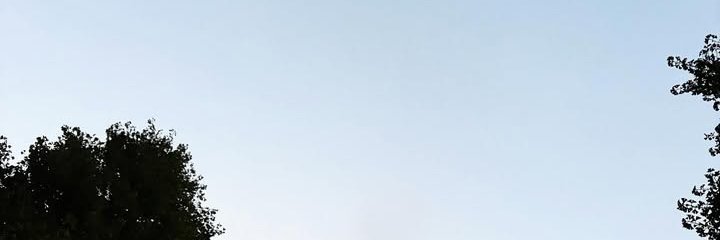 pporowe's profile banner image