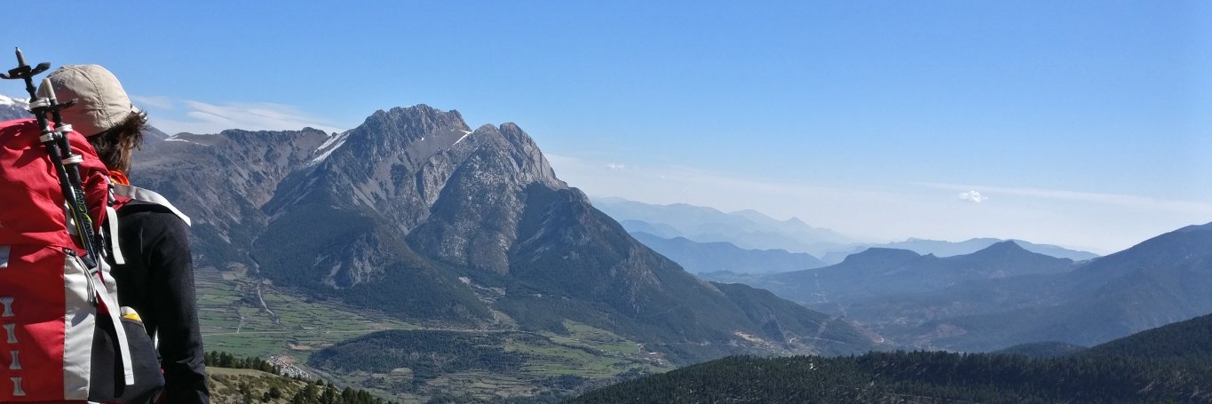 SiPoX's profile banner image