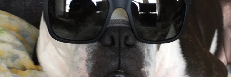 HMambaa's profile banner image
