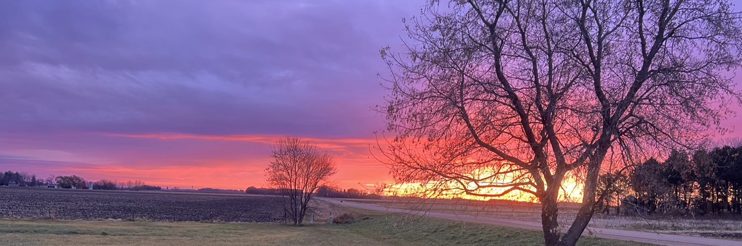 Emilybaerenwald's profile banner image