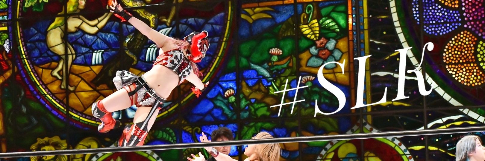 💙ありさん🐯🤍 banner