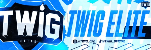 twig_oficial Profile Banner