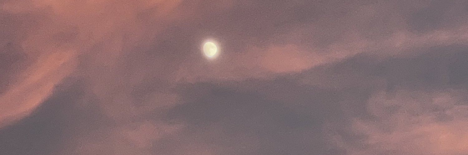 HaylynNguyen's profile banner image
