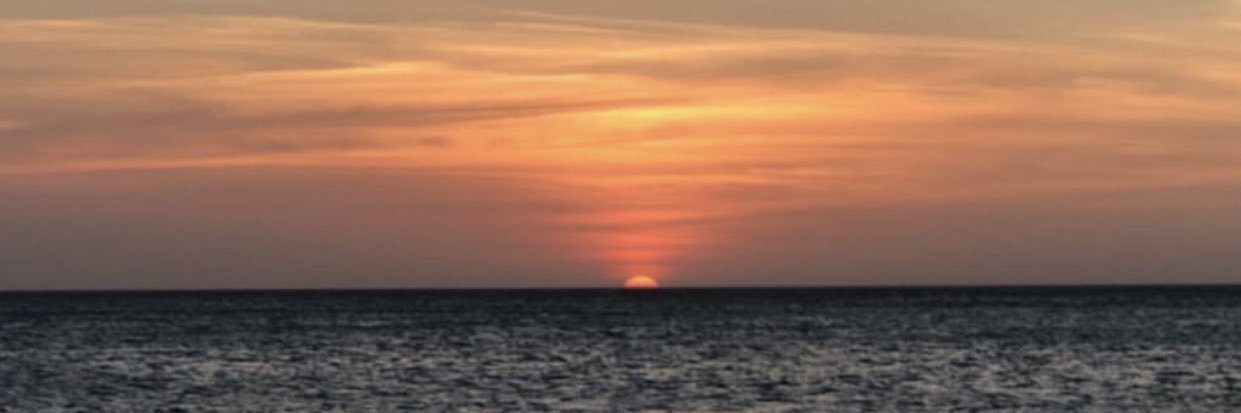 Luisanatrd's profile banner image