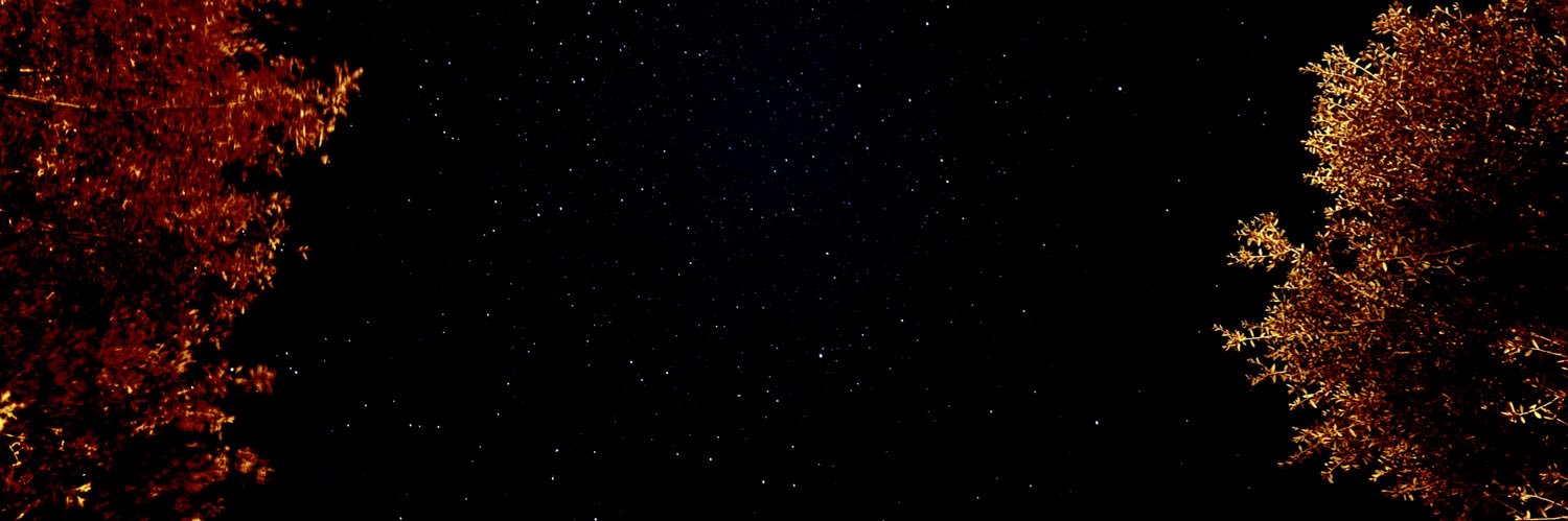 davidtweetopher's profile banner image