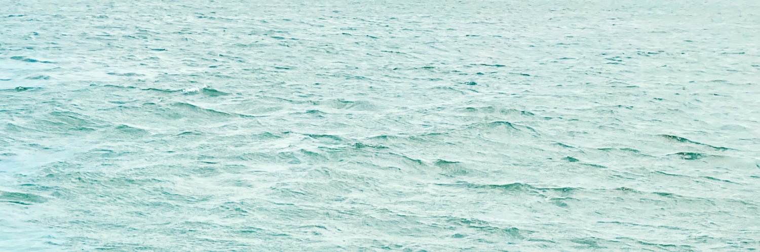 Kayla Freeman banner